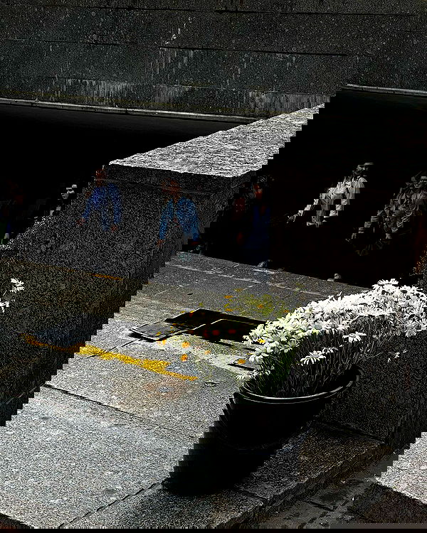 kkulakovaa image ~ Altpins