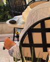 rouxroux.tv Altpins Profile Picture
