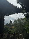 _dafi_lu Altpins Profile Picture