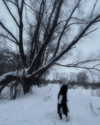 glowmoonshorty Altpins Profile Picture