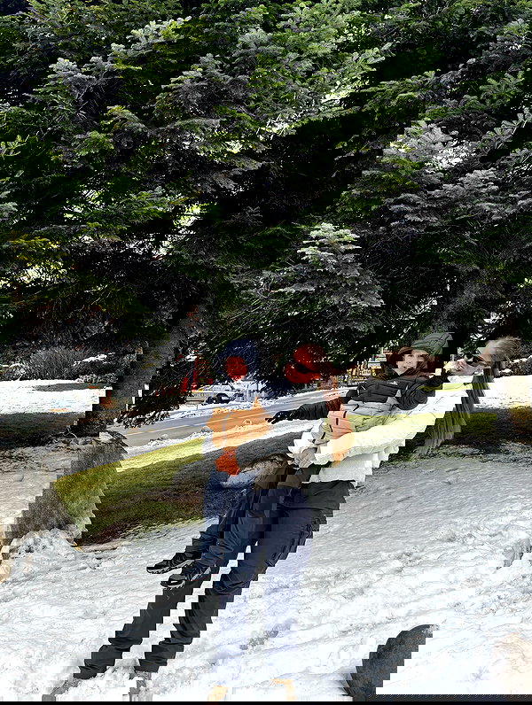 mishel_llll mishel_llll archive image