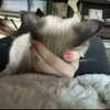 luckyme483 Altpins Profile Picture