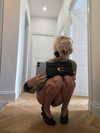 girlcalledluca Altpins Profile Picture