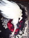 amellliiaa Altpins Profile Picture