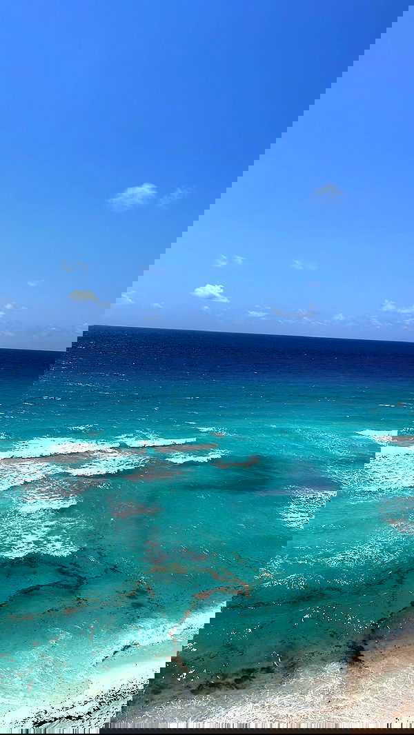 thelizzyporter thelizzyporter archive image