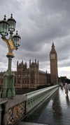 koralsarosi_ Altpins Profile Picture