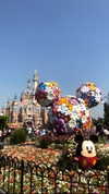 nikoleta.milenova Altpins Profile Picture