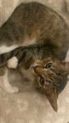 olivia.bolgerr Altpins Profile Picture