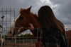 ofri.elul Altpins Profile Picture