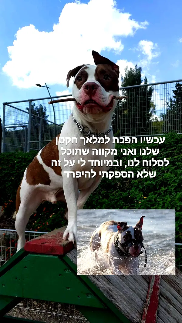 moonyyyya moonyyyya archive image