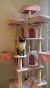 leni.bahr Altpins Profile Picture