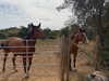 mariagabrielasantos Altpins Profile Picture