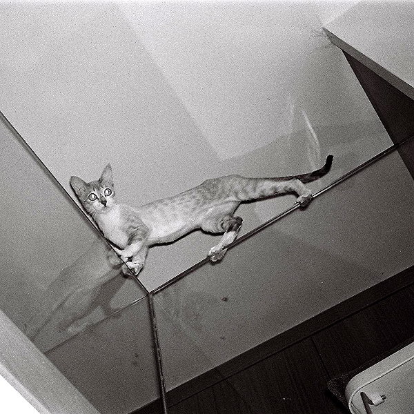 bad.toy instagram image archive image
