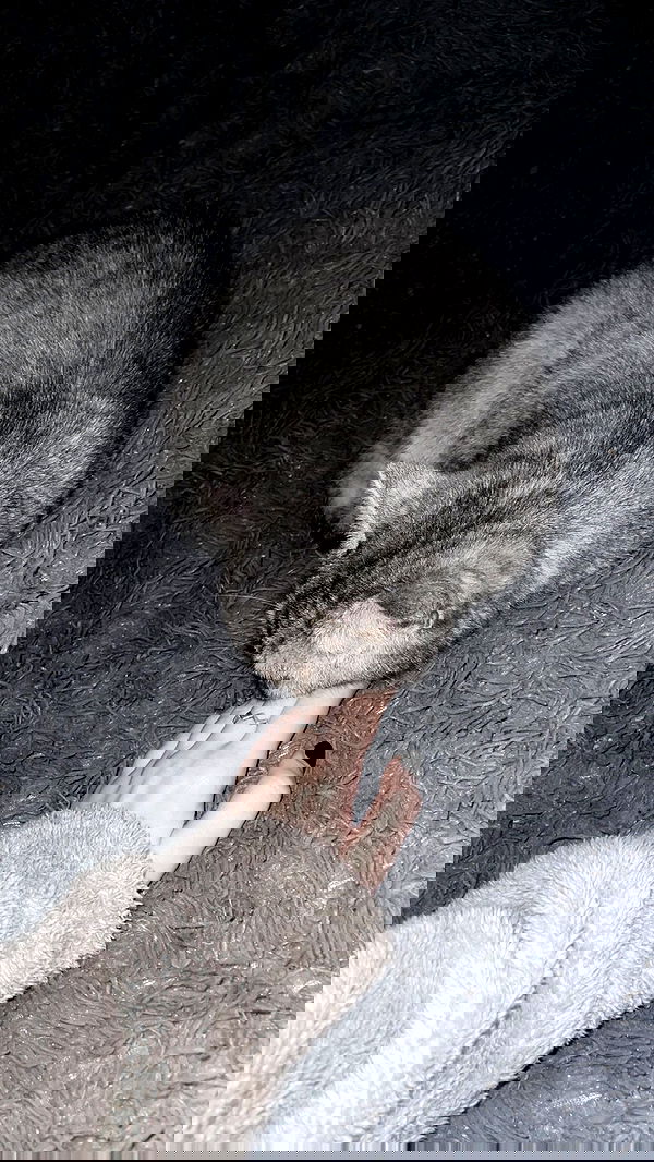 imalovesosa imalovesosa archive image