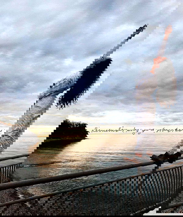 kkulakovaa image ~ Altpins