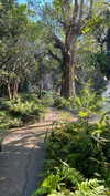 _mashachka_ Altpins Profile Picture