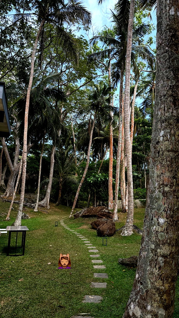 sabiyo instagram image archive image