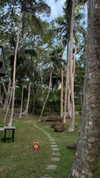 sabiyo Altpins Profile Picture