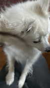 bbyul.le Altpins Profile Picture