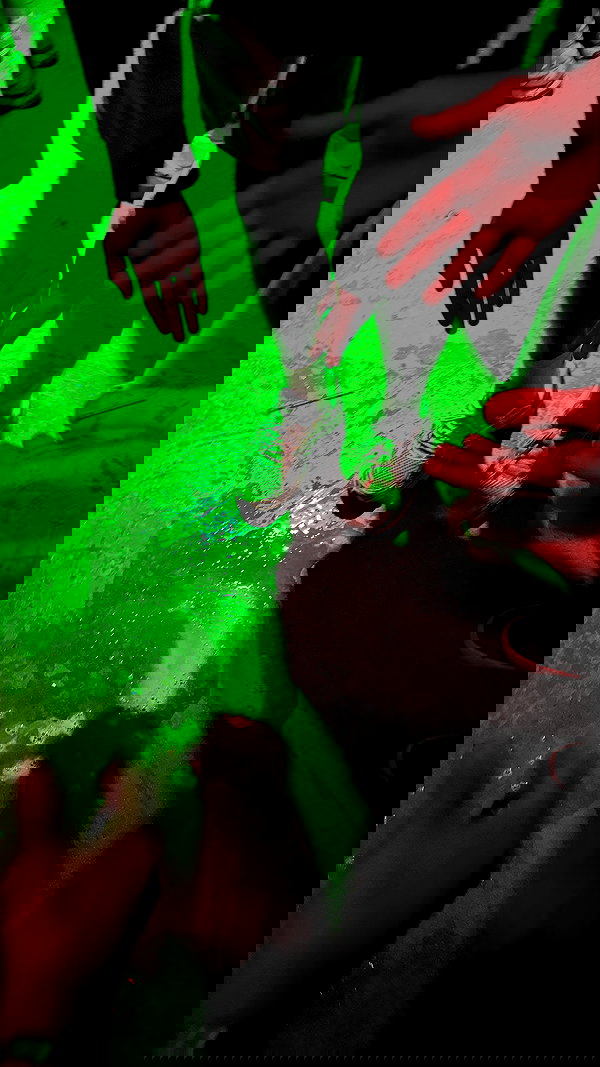 mosssaico mosssaico archive image