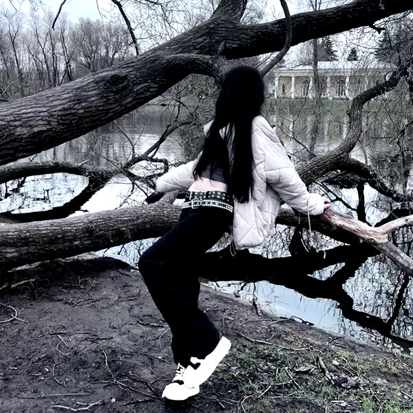 amanitalis instagram image archive image