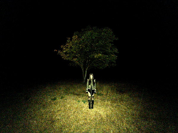 v4.nnas instagram image archive image