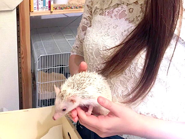 enakorin instagram image archive image