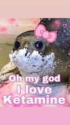 babynympho_archive Altpins Profile Picture