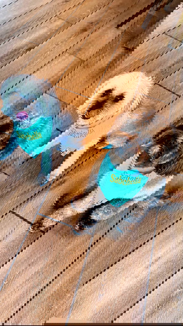 sabrinacarpenter sabrinacarpenter archive image