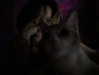 _kinzxy Altpins Profile Picture