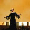 adele Altpins Profile Picture