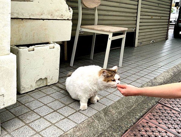 imnotsevven instagram image archive image