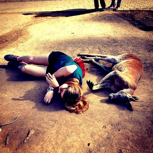 alexandradaddario instagram image archive image