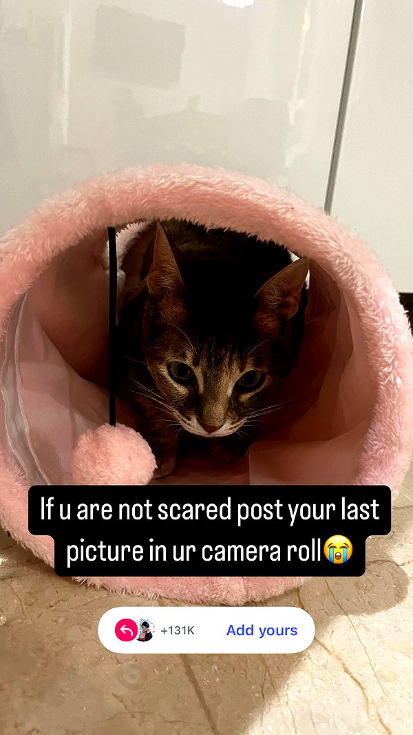Archived image from @notchicore on Instagram