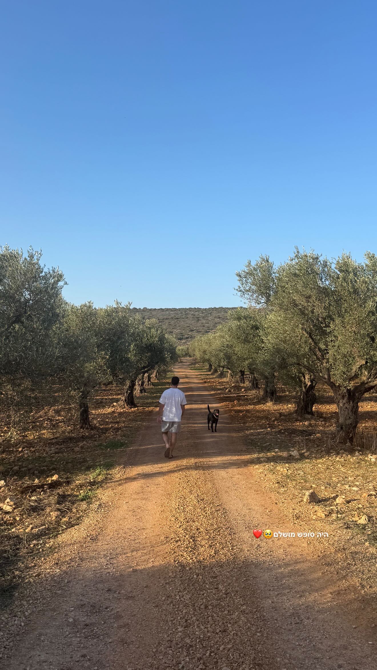 talweisswasser instagram image archive image