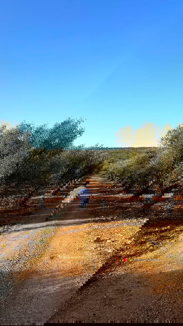 talweisswasser image ~ Altpins