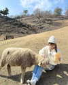 ____sy.02 Altpins Profile Picture