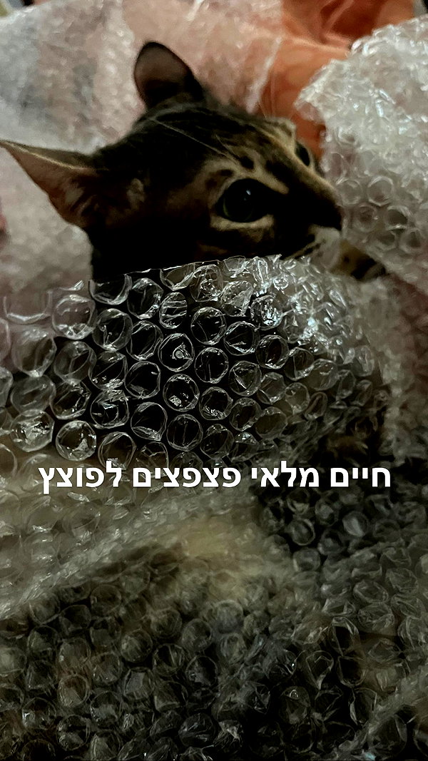 Archived image from @notchicore on Instagram