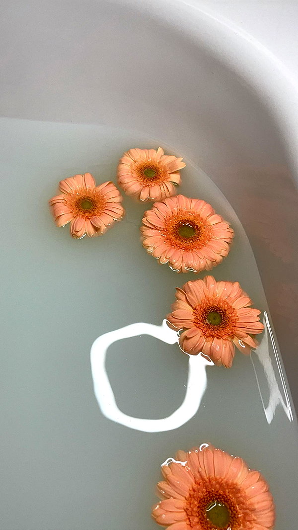 melsaimc instagram image archive image