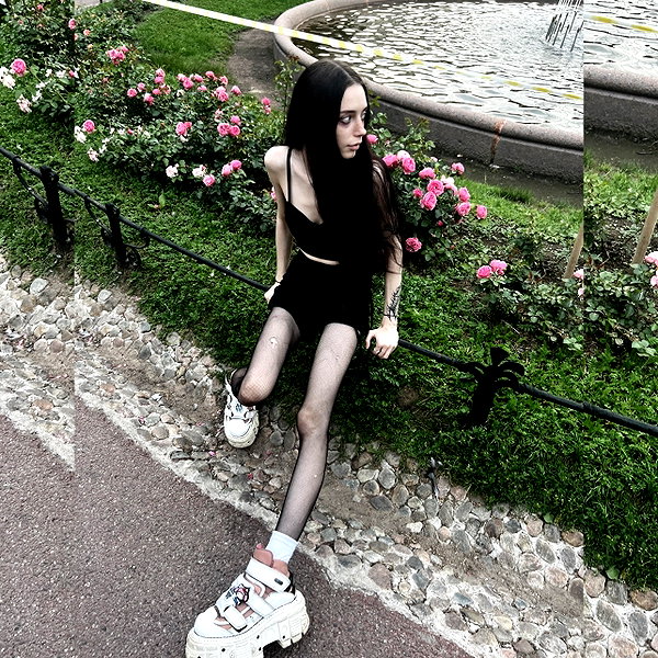 amanitalis instagram image archive image
