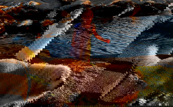 taylor.creeden taylor.creeden archive image