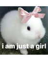 milkiwifey Altpins Profile Picture