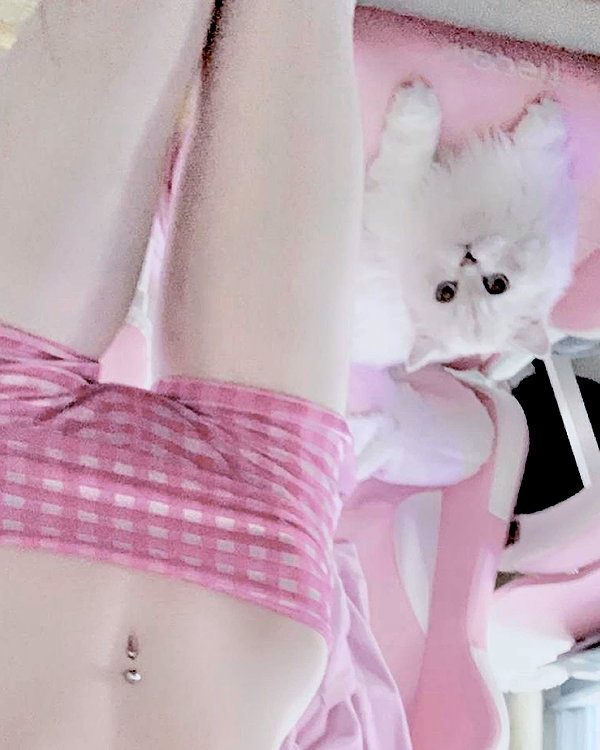 svgarbvnnies instagram image archive image