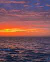 marilyn_damaged Altpins Profile Picture