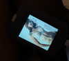 renatarrii Altpins Profile Picture