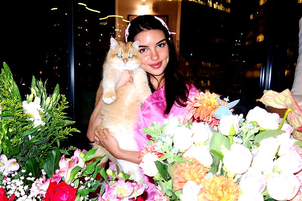itsilanosh instagram image archive image