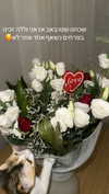 elika_shev Altpins Profile Picture