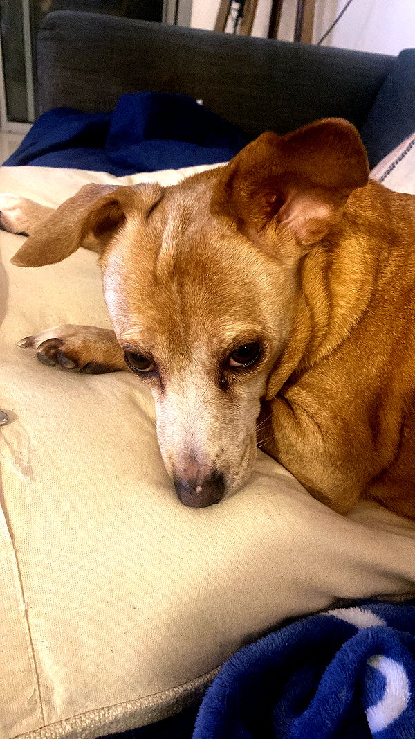 babynympho_archive instagram image archive image