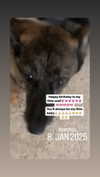 emily_new2 Altpins Profile Picture