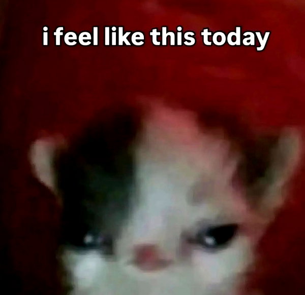 lilih instagram image archive image